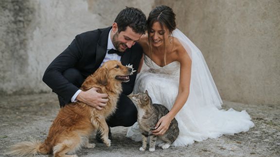 Comment intégrer vos animaux de compagnie dans les photos de mariage